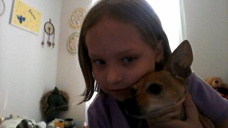 tink - Chihuahua (5 ans)