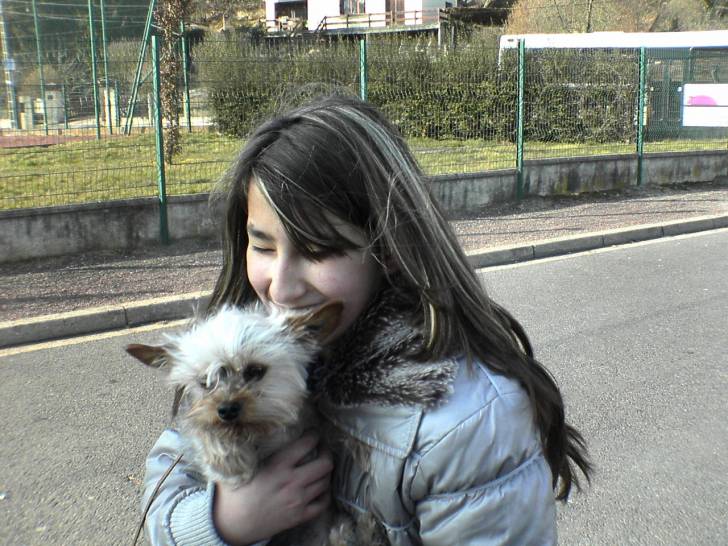 flora - Chihuahua (12 ans)