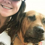 Photo de la tête d'un Blue Blood Cane Corse à côté d'une fille