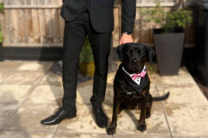 Photo d'une personne tenant un Rotticorso en laisse, portant un noeud papillon et allongé à terre