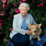 La reine Elisabeth II posant assise aux côtés d'un de ses Welsh Corgi Pembroke