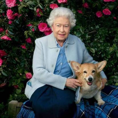 La reine Elisabeth II posant assise aux côtés d'un de ses Welsh Corgi Pembroke