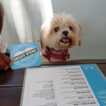 Un Shi Chi portant un collier au cou et devant une liste de menu il semble vouloir manger