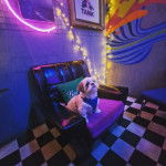 Un Shi Apso de pelage blanc assis sur un siège et porte une laisse bleue