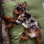 Un Woodle allongé sur un lit pour chien et semblant détendu