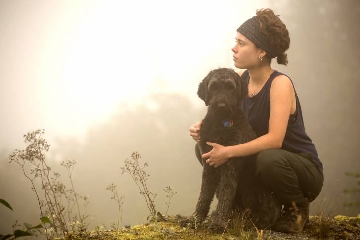Un Woodle au pelage noir se tenant assis dans une forêt, à côté de sa maitresse 
