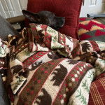 Un American Bully Staffy Bull Terrier allongé sur un fauteuil et semblant dormir