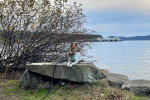 Un Basenji allongé sur un rocher