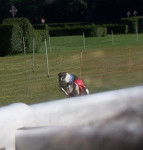 CH.Edwina de Prjevalski - Barzoï (5 ans)