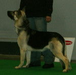 Photo Berger de l'Europe de l'Est