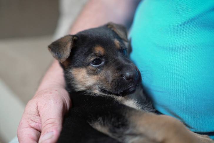 Photo Berger de l'Europe de l'Est