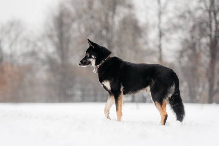 Photo Berger de l'Europe de l'Est
