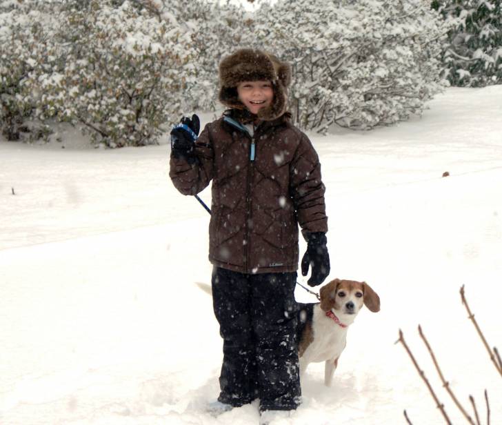 Bailey - Beagle (13 ans)