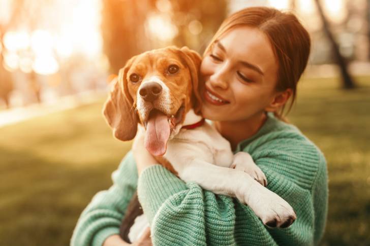 Un Beagle heureux dans les bras de sa maîtresse