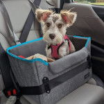 Un Miniature Schnoxie assis dans un panier et portant un harnais 