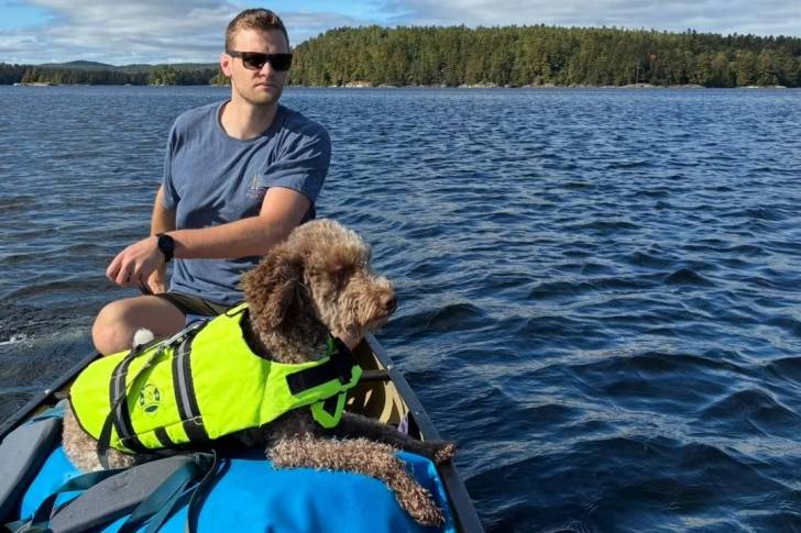 Un Lagotto Romagnolo allongé dans une barque à côté de son maître