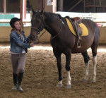 Sultant - Mâle (7 ans)