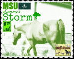 MSU Summer Storm - (21 ans)