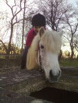 Flicka+ Ich - (17 ans)