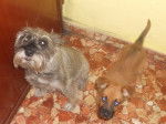 Aquiles y Kiki -