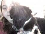 Picture of my little cousin and my puppy sugar - Femelle (2 mois)