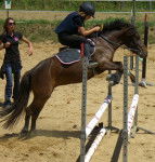 sassi et moi - (5 ans)