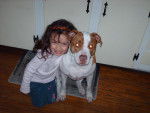 Aspen and Me - Femelle (6 ans)