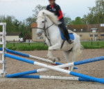 Lucky - Mâle (12 ans)