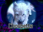 choupette - Femelle (13 ans)