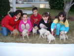 Primos,Yo y perritos :) - Mâle (1 mois)