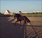 Yako - Mâle (14 ans)