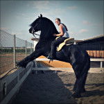 Marques - Mâle (10 ans)