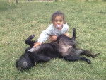 negra - Femelle (4 ans)