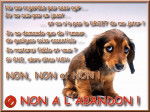 non a l'abandon -