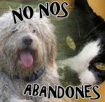 no los abandones -