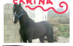carina - (6 ans)