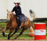 Moi et mon Cheval - Mâle (6 ans)