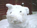 Snowdog - (Autre)