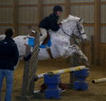 spot - Mâle (14 ans)