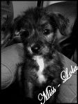 Lola - (7 mois)