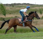 Aurora Encore - (4 ans)