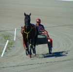 Ammon Abreham - Mâle (8 ans)