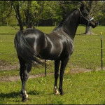 Radioactive - (5 ans)