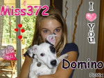 Domino et moi ! - Mâle (1 an)