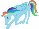 Rainbow Dash my little horse - (3 ans)