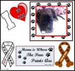 Rex - M&acirc;le (4 ans)