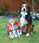 Kopy - M&acirc;le (6 ans)