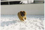OXANE A LA NEIGE -