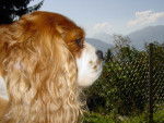 Socrate en montagne -