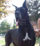 Pretty en exposition -